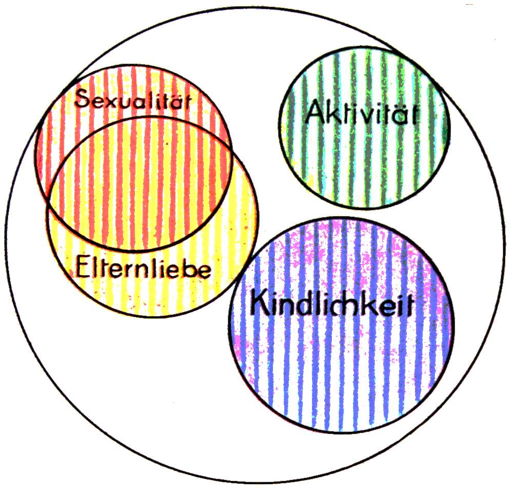 Detail Inneres Organ 4 Buchstaben Nomer 20