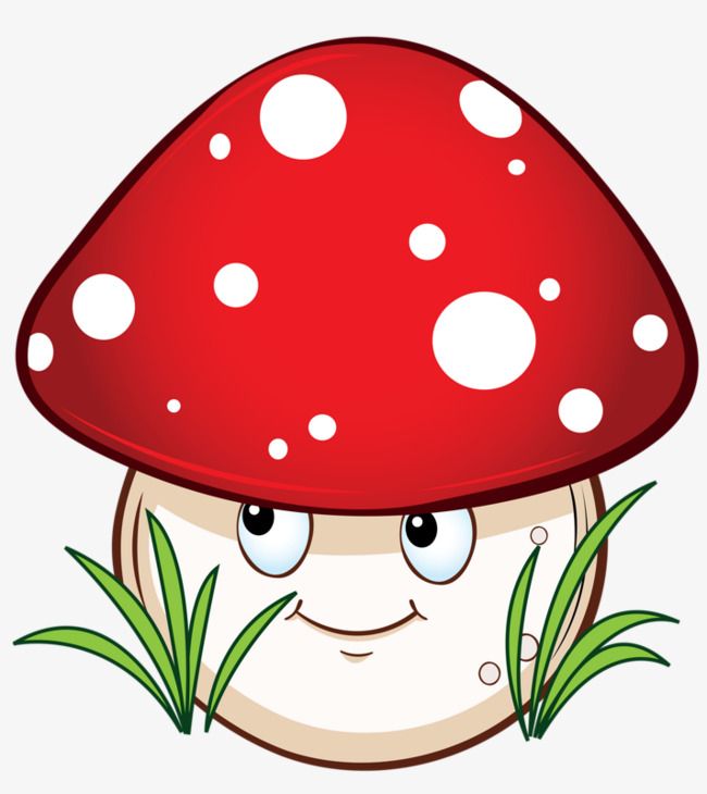 Detail Mushroom Art Nomer 4