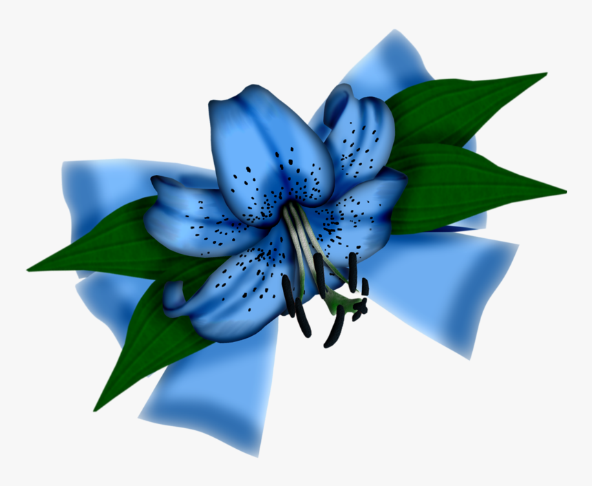 Detail Tigerlilie Blau Nomer 4