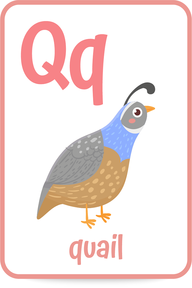 Detail Picture Of The Letter Q Nomer 42