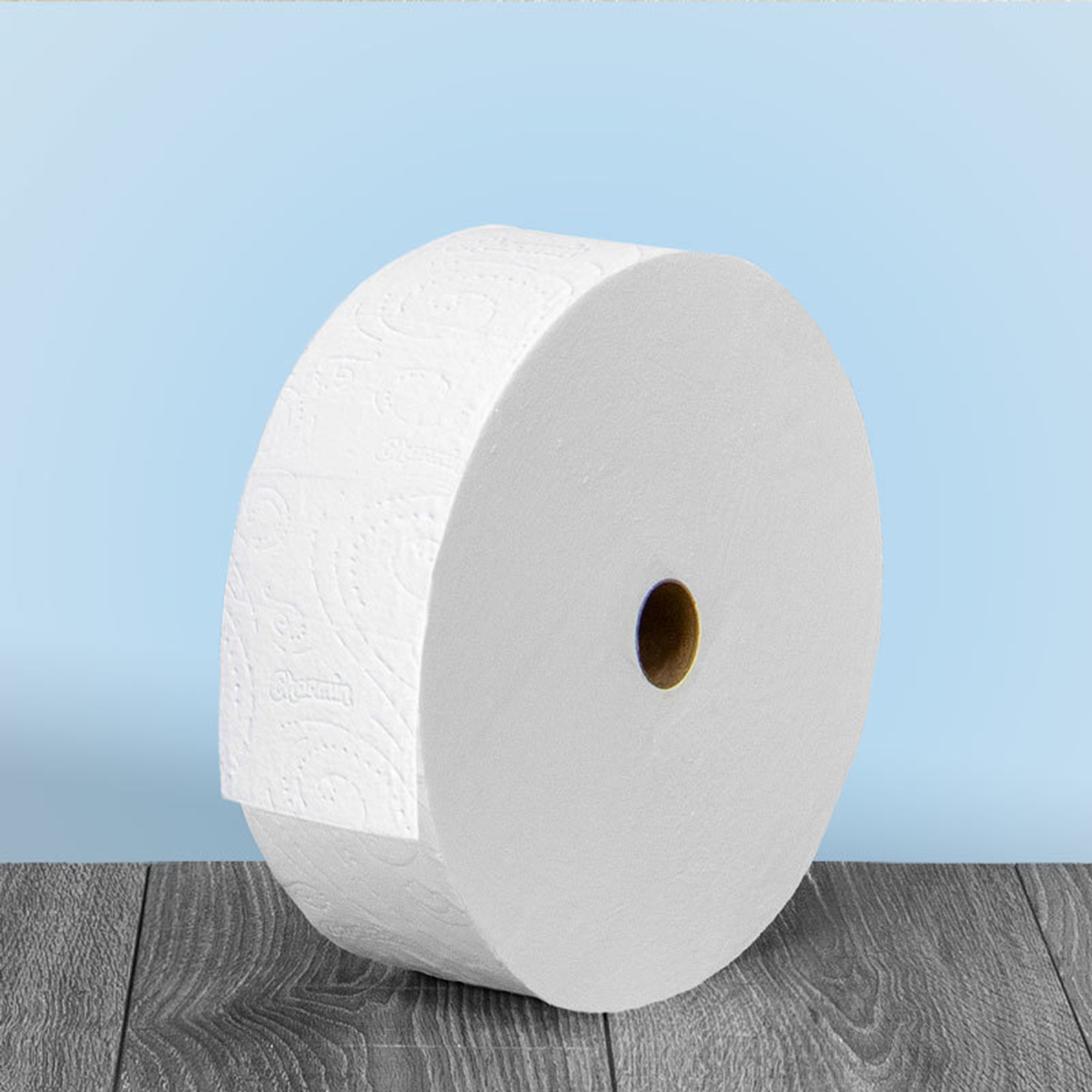 Detail Picture Of Toilet Paper Nomer 30