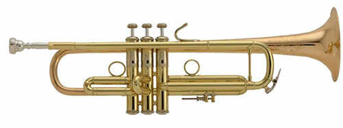 Detail Picture Of Trumpet Nomer 16