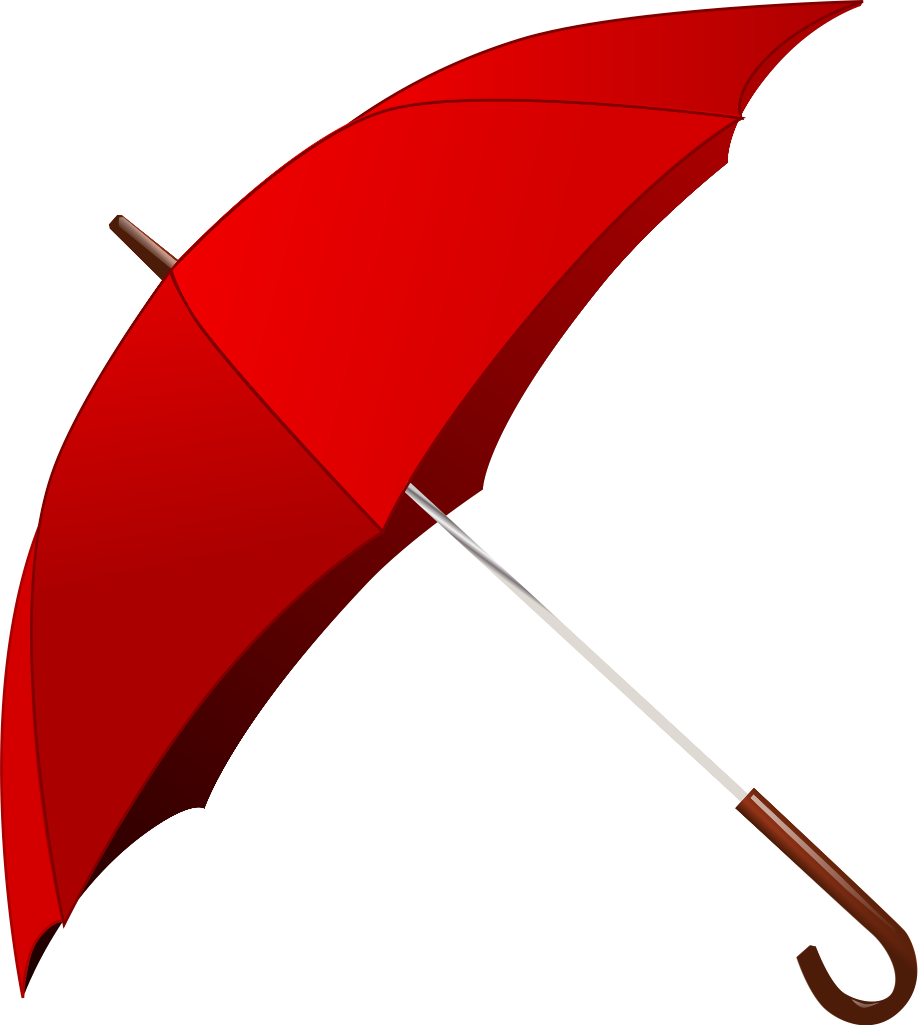 Detail Picture Of Umbrella Nomer 7
