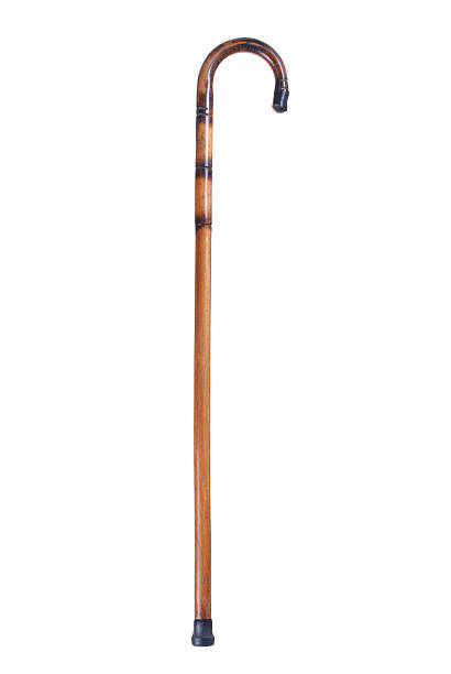 Picture Of Walking Stick - KibrisPDR