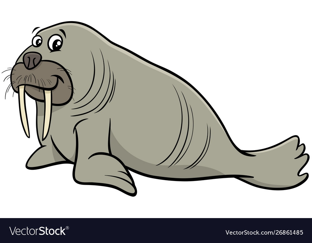 Detail Picture Of Walrus Animal Nomer 30