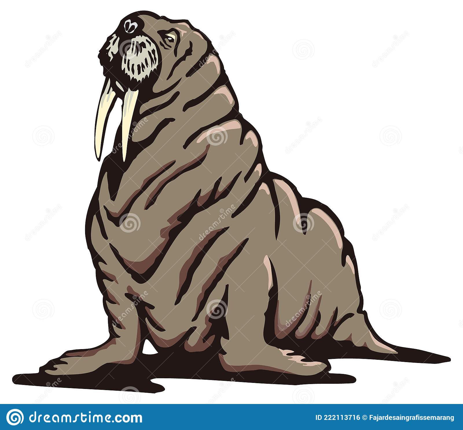 Detail Picture Of Walrus Animal Nomer 31