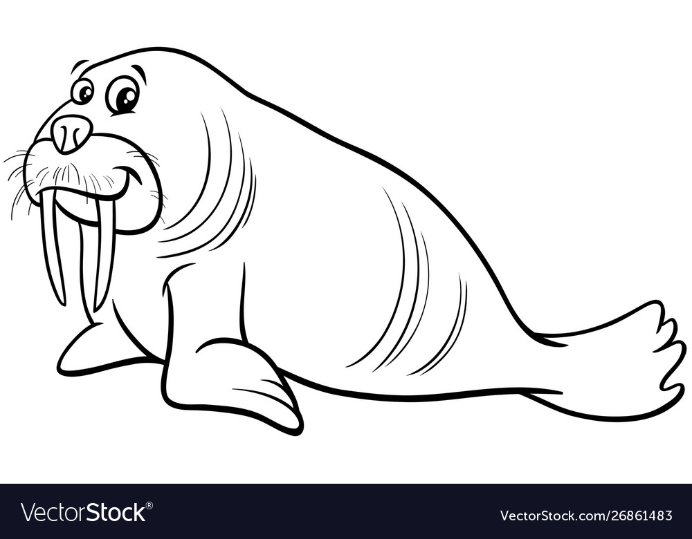 Detail Picture Of Walrus Animal Nomer 46