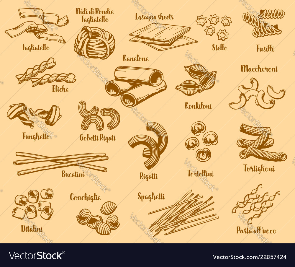 Detail Pictures And Names Of Pastas Nomer 27