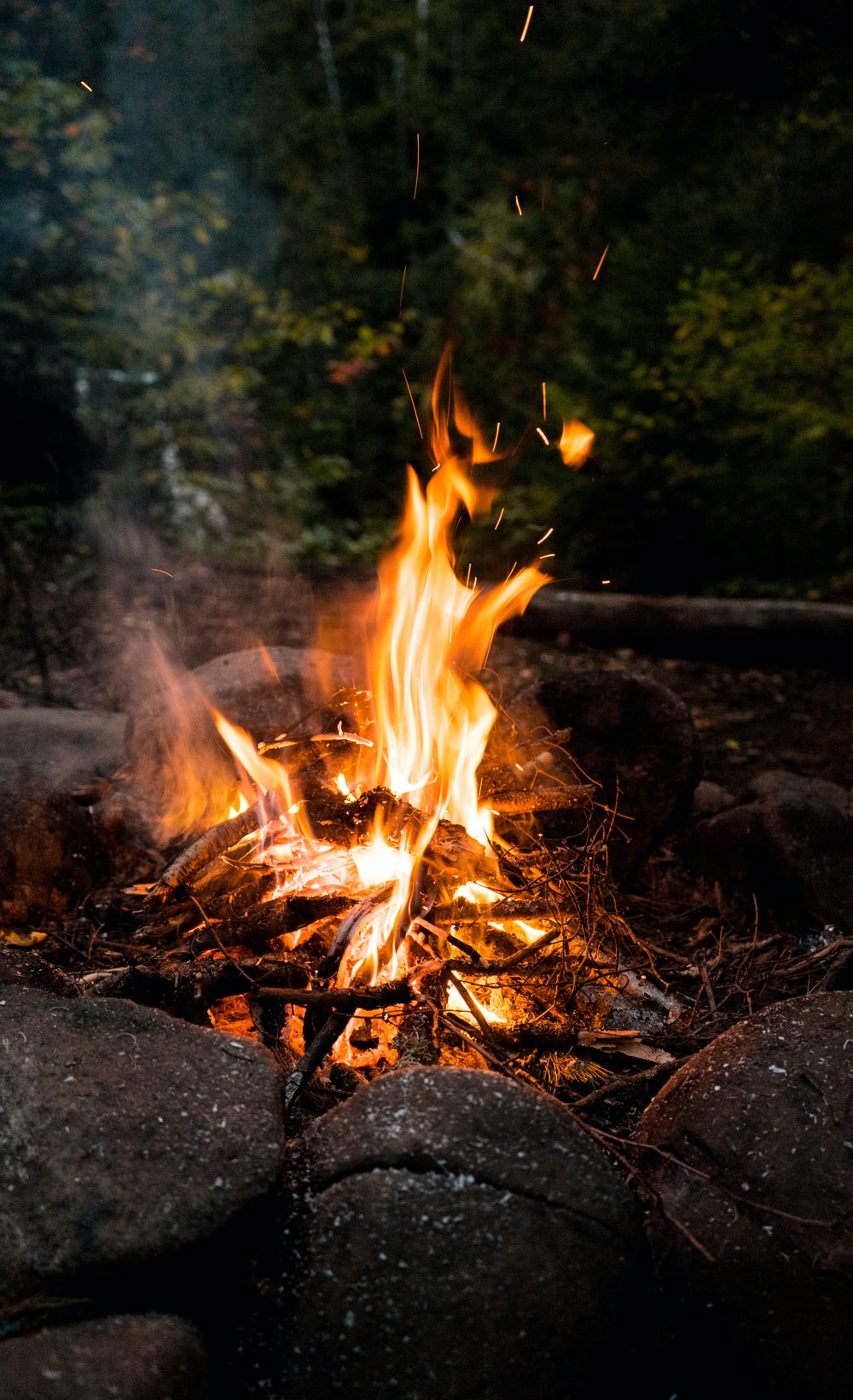 Detail Pictures Of A Bonfire Nomer 24