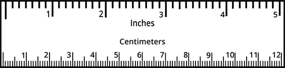Detail Pictures Of A Centimeter Ruler Nomer 19