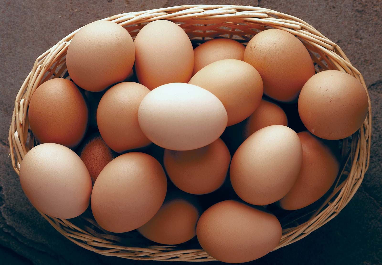 Pictures Of A Eggs - KibrisPDR