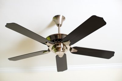Detail Pictures Of A Fan Nomer 8