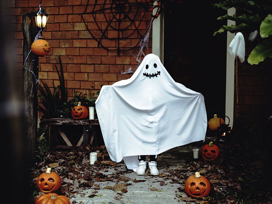 Detail Pictures Of A Ghost Nomer 31