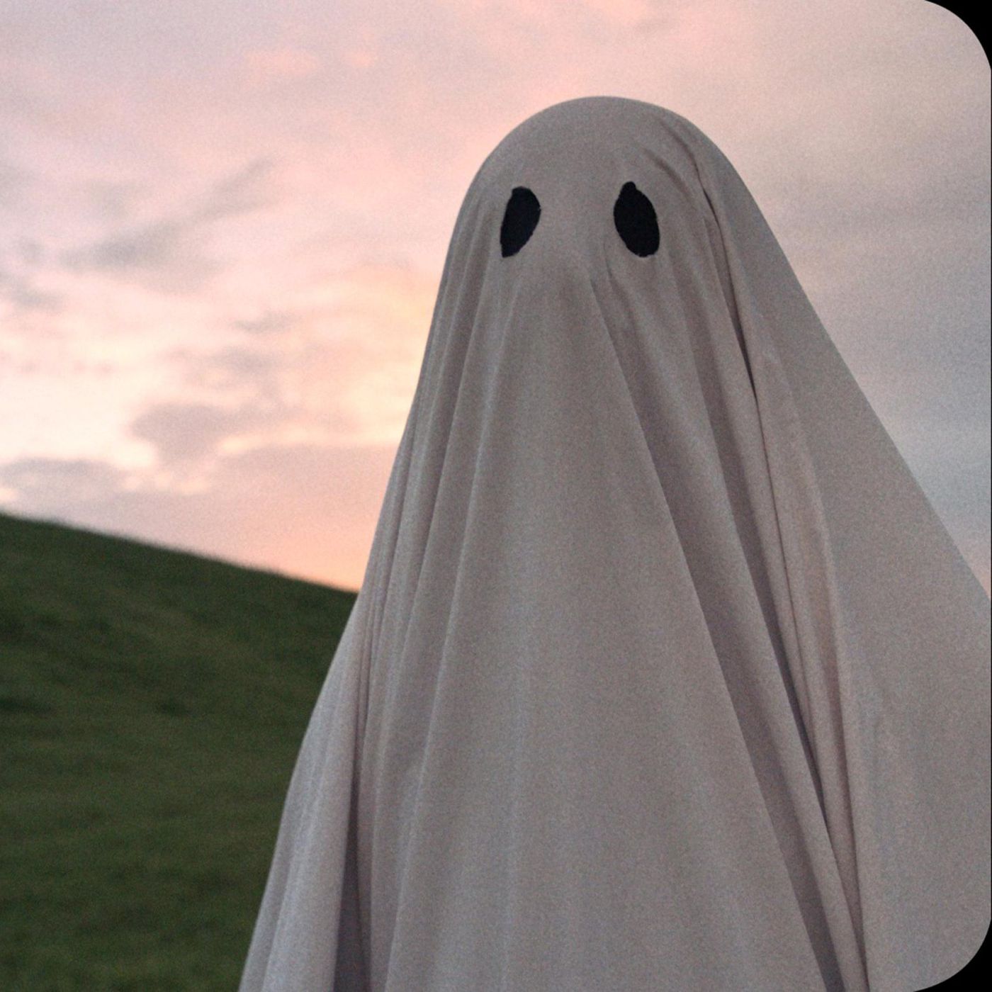 Detail Pictures Of A Ghost Nomer 6