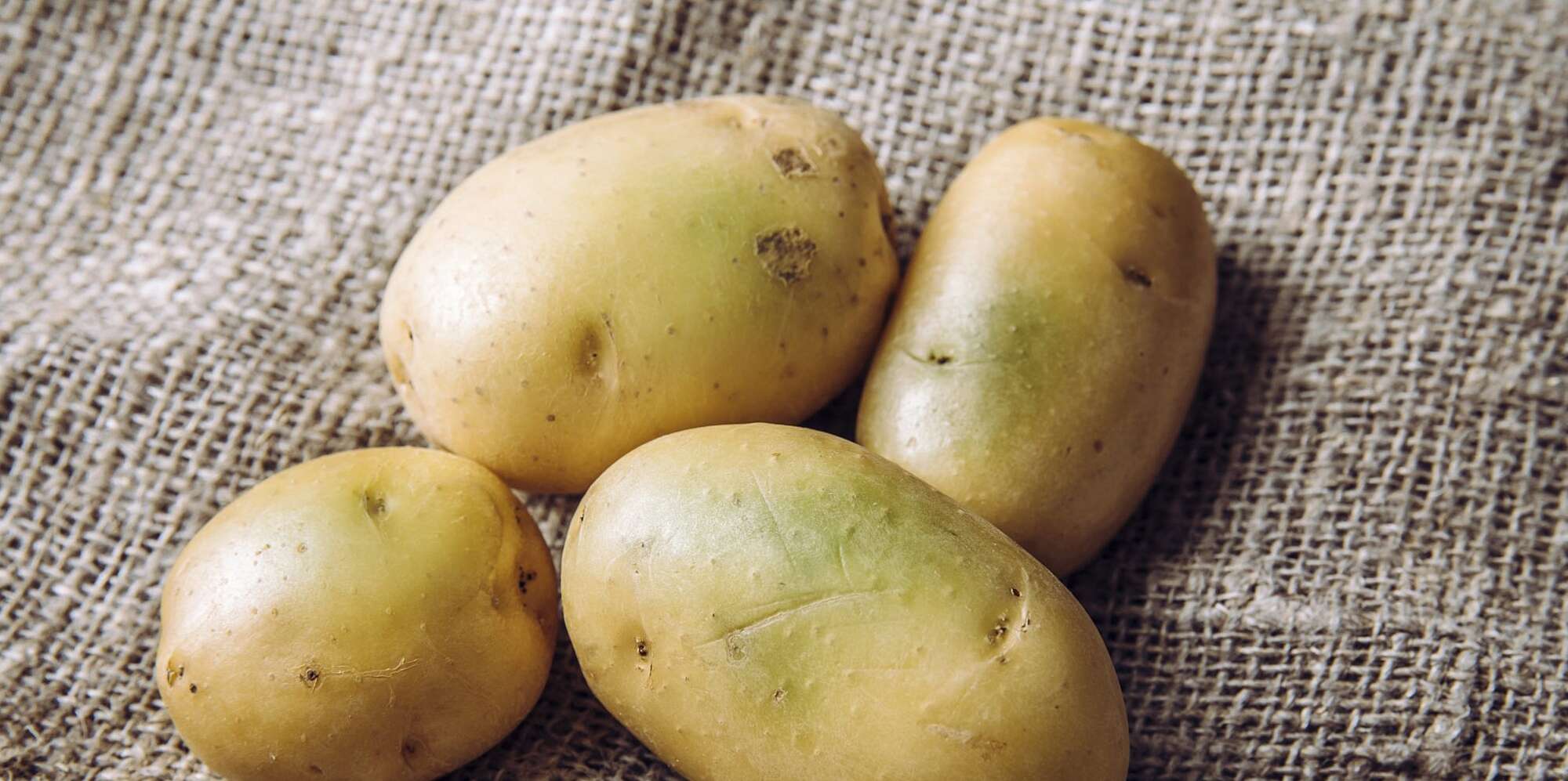 Download Pictures Of A Potato Nomer 42