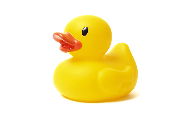 Detail Pictures Of A Rubber Duck Nomer 11