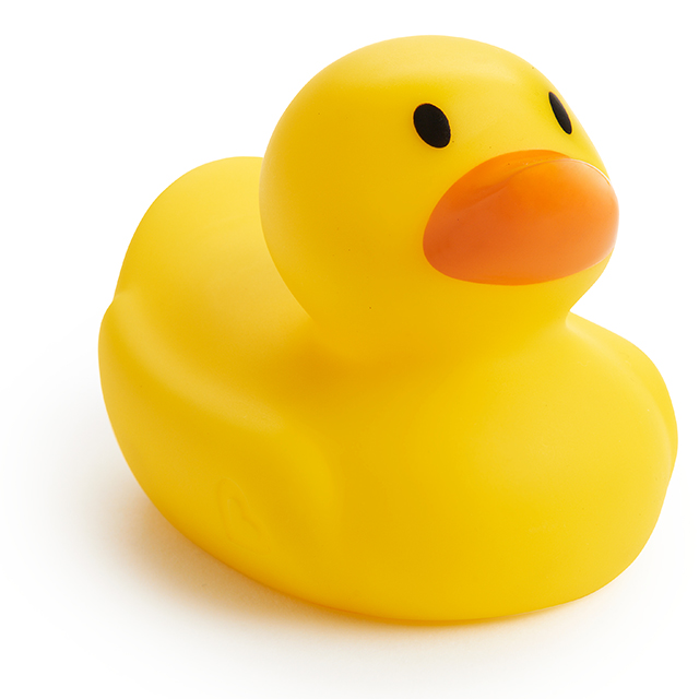 Detail Pictures Of A Rubber Duck Nomer 12