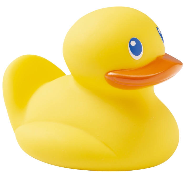 Detail Pictures Of A Rubber Duck Nomer 19