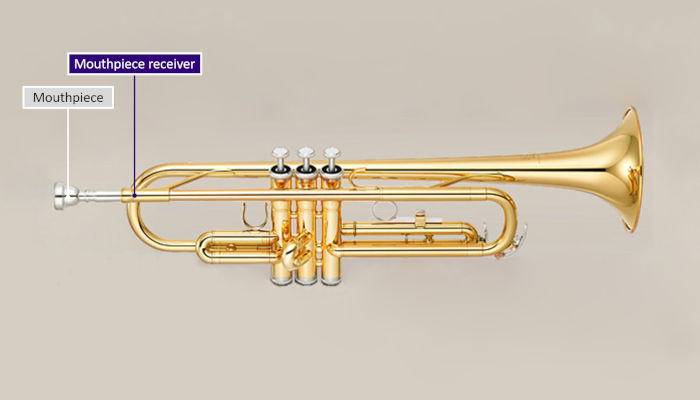 Detail Pictures Of A Trumpet Nomer 44