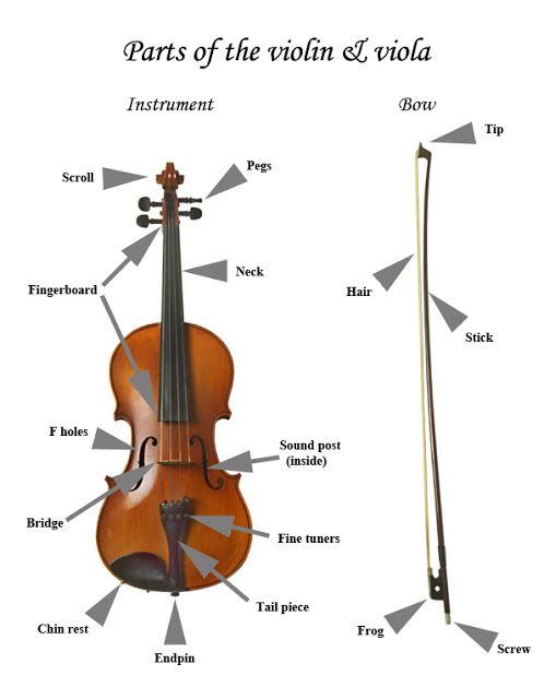 Detail Pictures Of A Violin Nomer 37