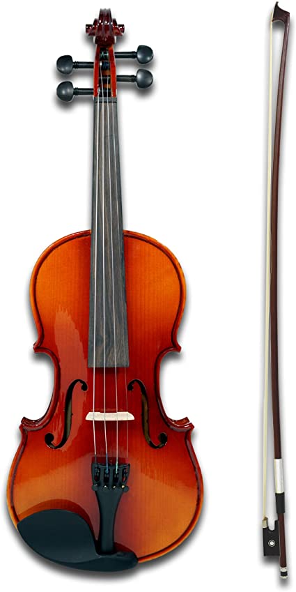 Detail Pictures Of A Violin Nomer 8