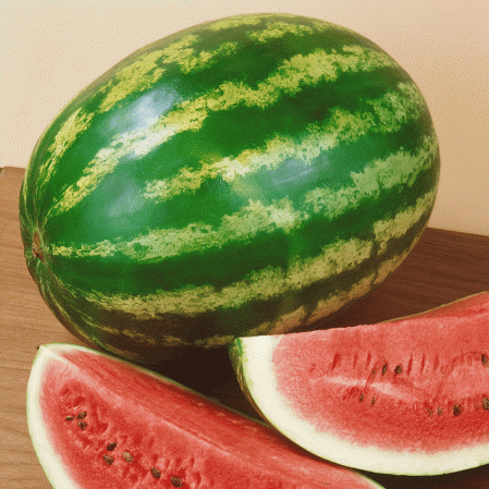 Detail Pictures Of A Watermelon Nomer 23