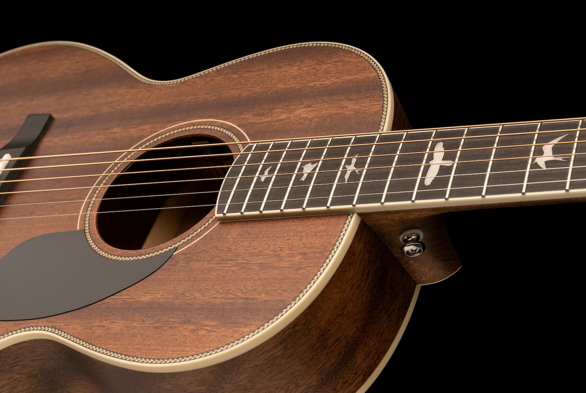 Detail Pictures Of Acoustic Guitars Nomer 20