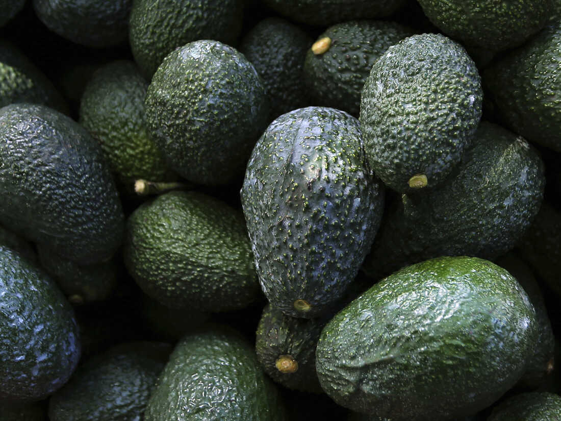 Detail Pictures Of An Avocado Nomer 7