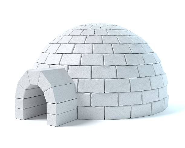 Detail Pictures Of An Igloo Nomer 2