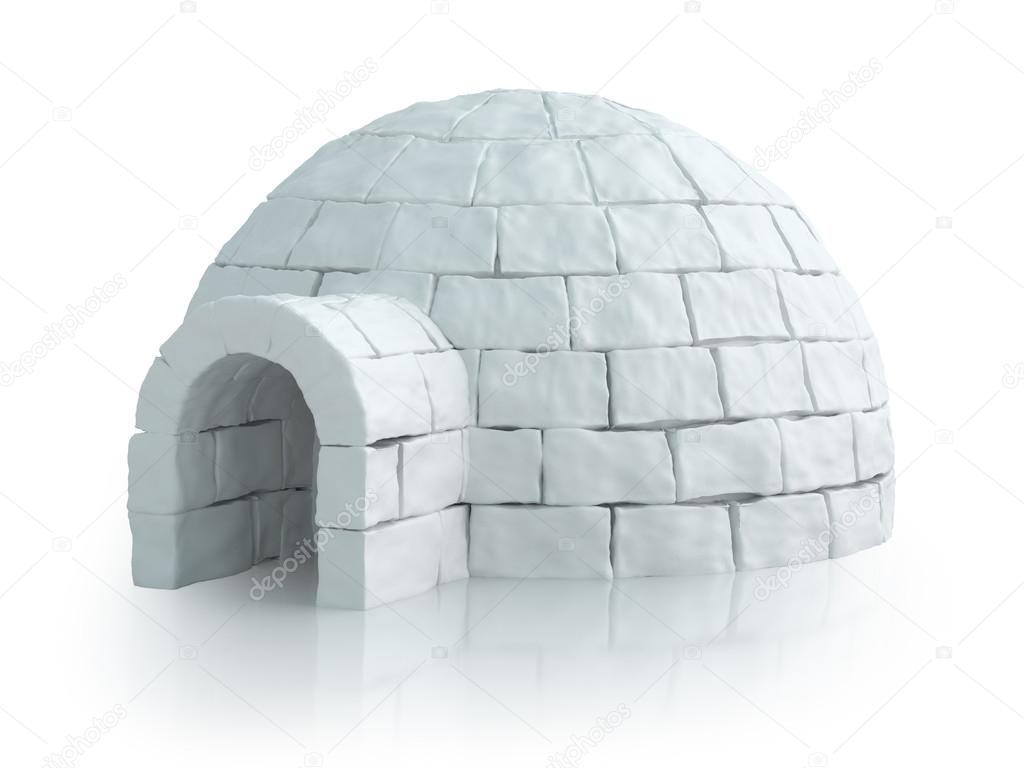 Detail Pictures Of An Igloo Nomer 11
