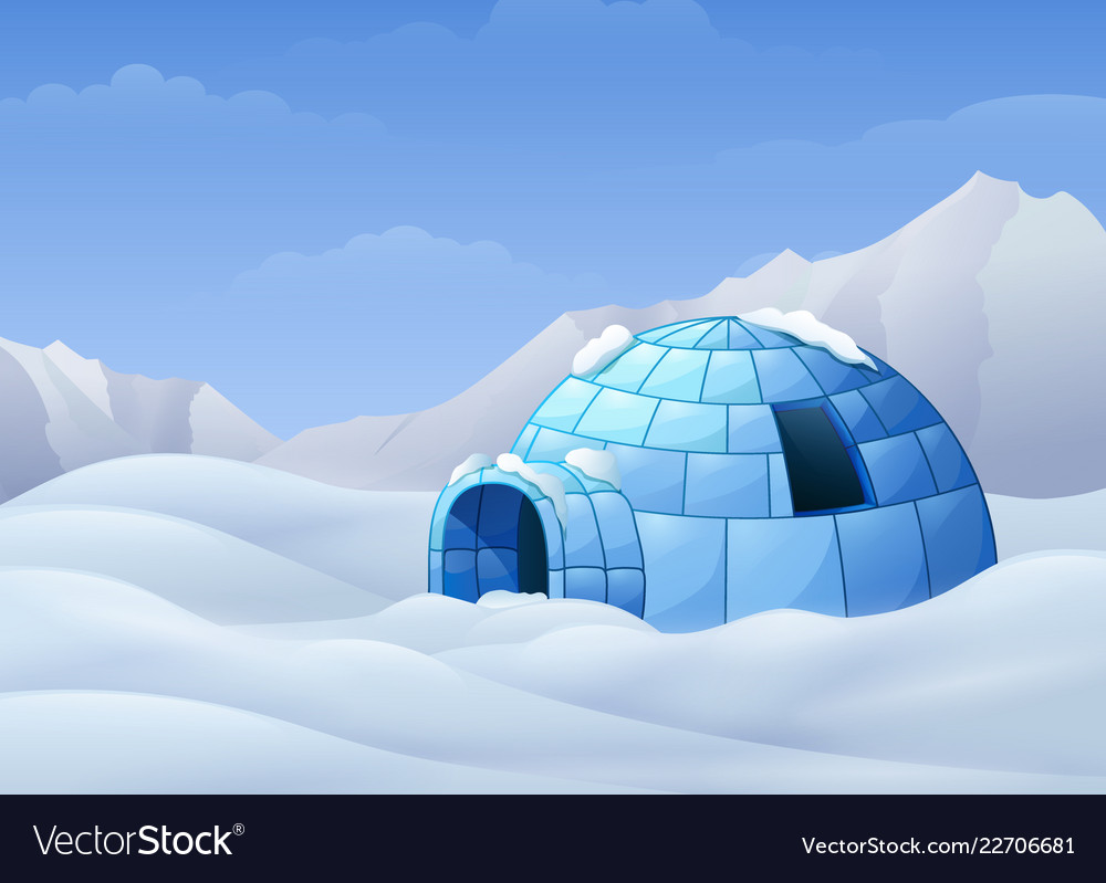 Detail Pictures Of An Igloo Nomer 15