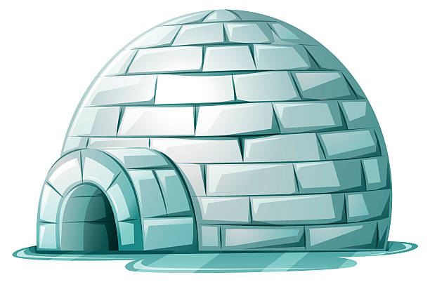 Detail Pictures Of An Igloo Nomer 16
