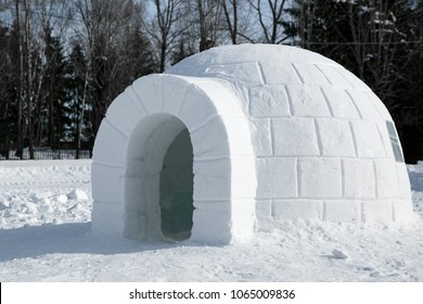 Detail Pictures Of An Igloo Nomer 19