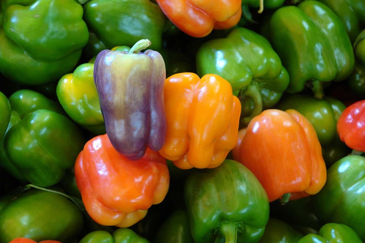 Detail Pictures Of Bell Peppers Nomer 45