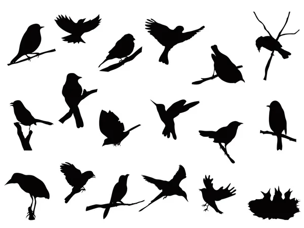 Detail Pictures Of Bird Silhouettes Nomer 18