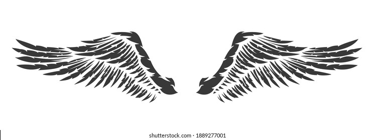 Detail Pictures Of Bird Wings Nomer 46