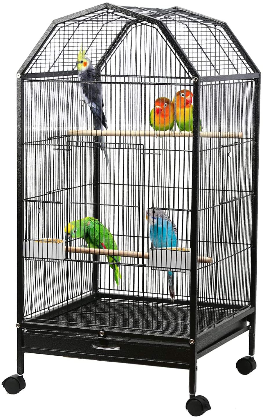 Detail Pictures Of Birds In Cages Nomer 20