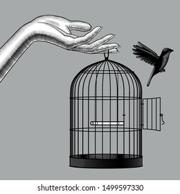Detail Pictures Of Birds In Cages Nomer 28
