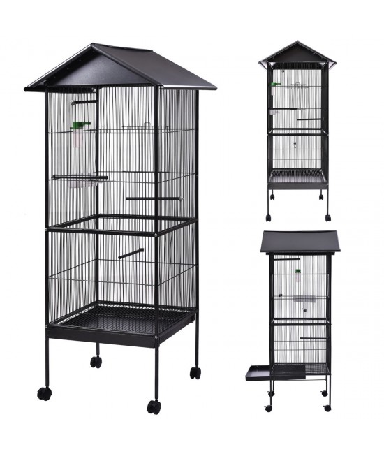 Detail Pictures Of Birds In Cages Nomer 30
