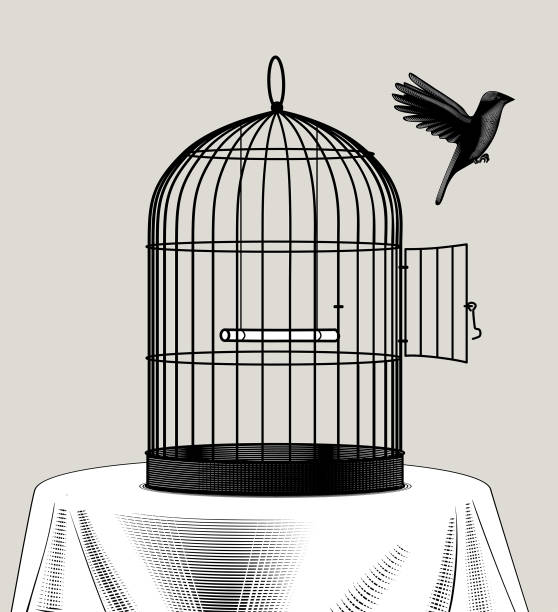 Detail Pictures Of Birds In Cages Nomer 33