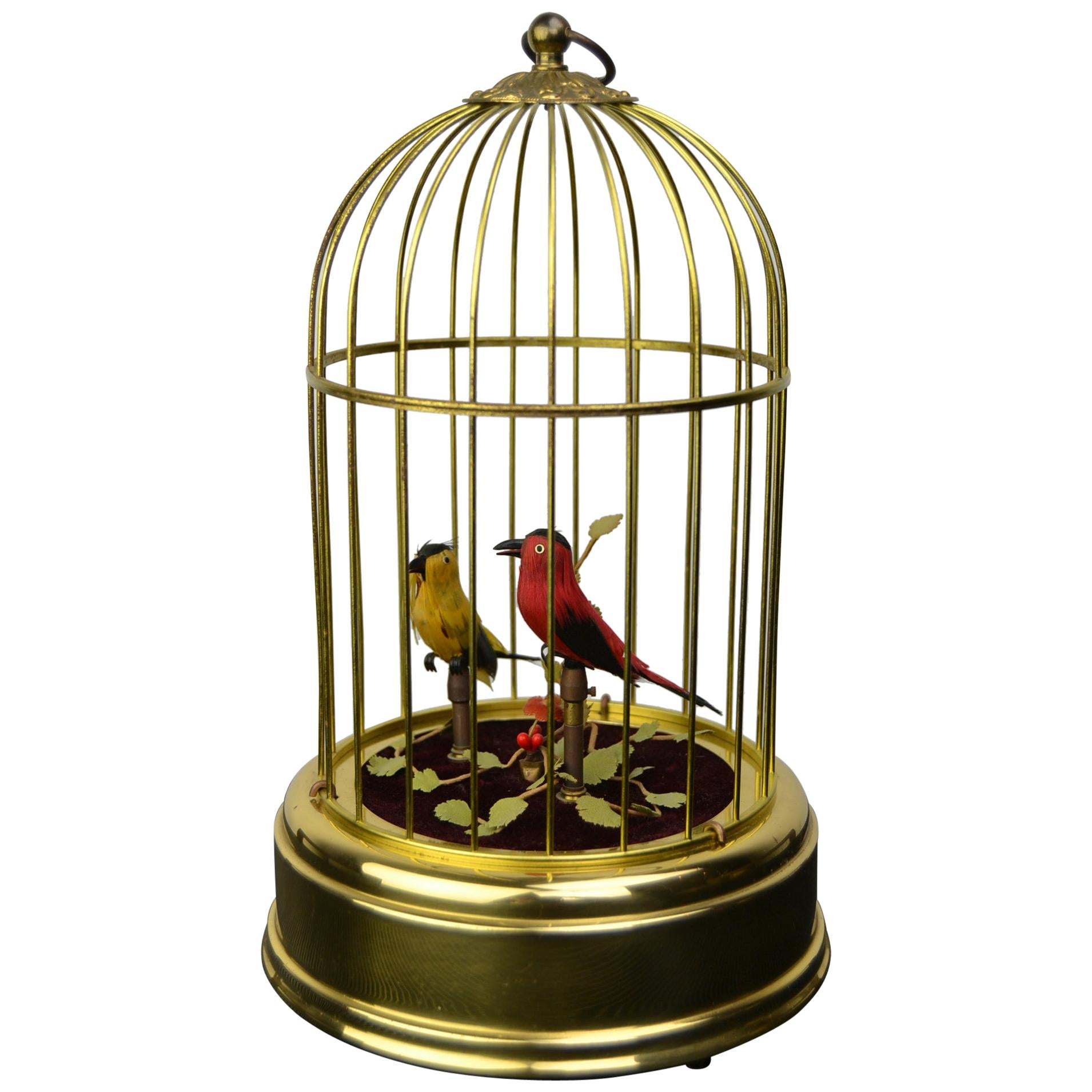 Detail Pictures Of Birds In Cages Nomer 37