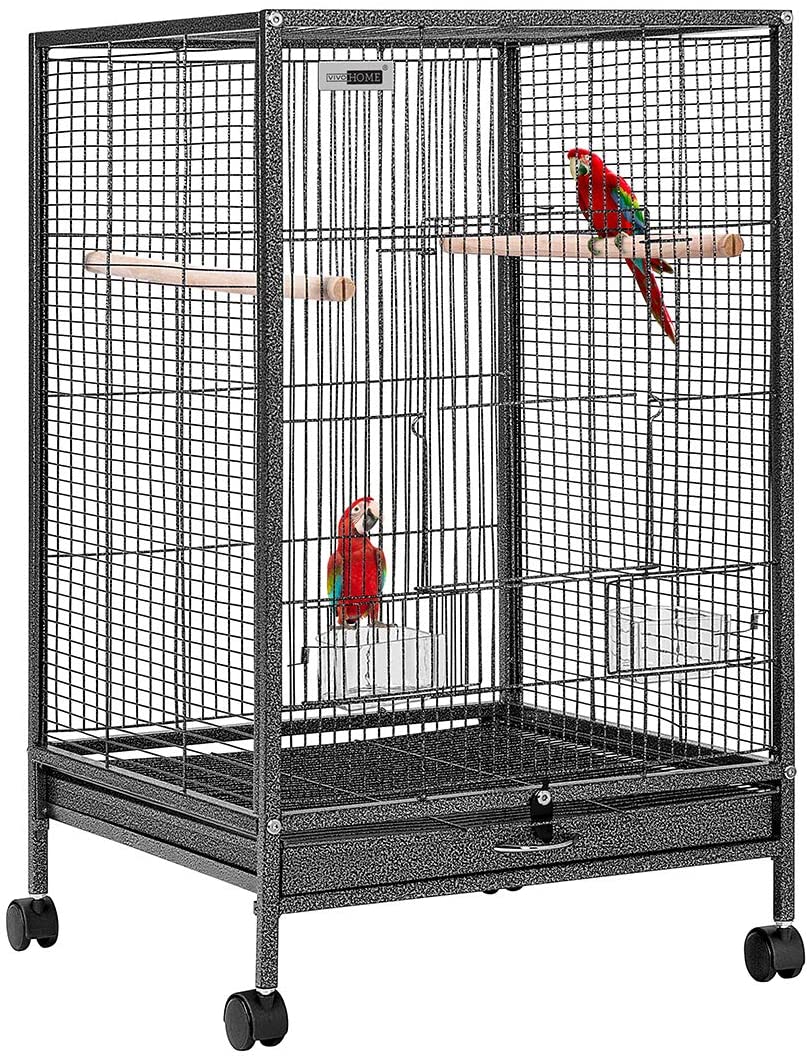 Detail Pictures Of Birds In Cages Nomer 43