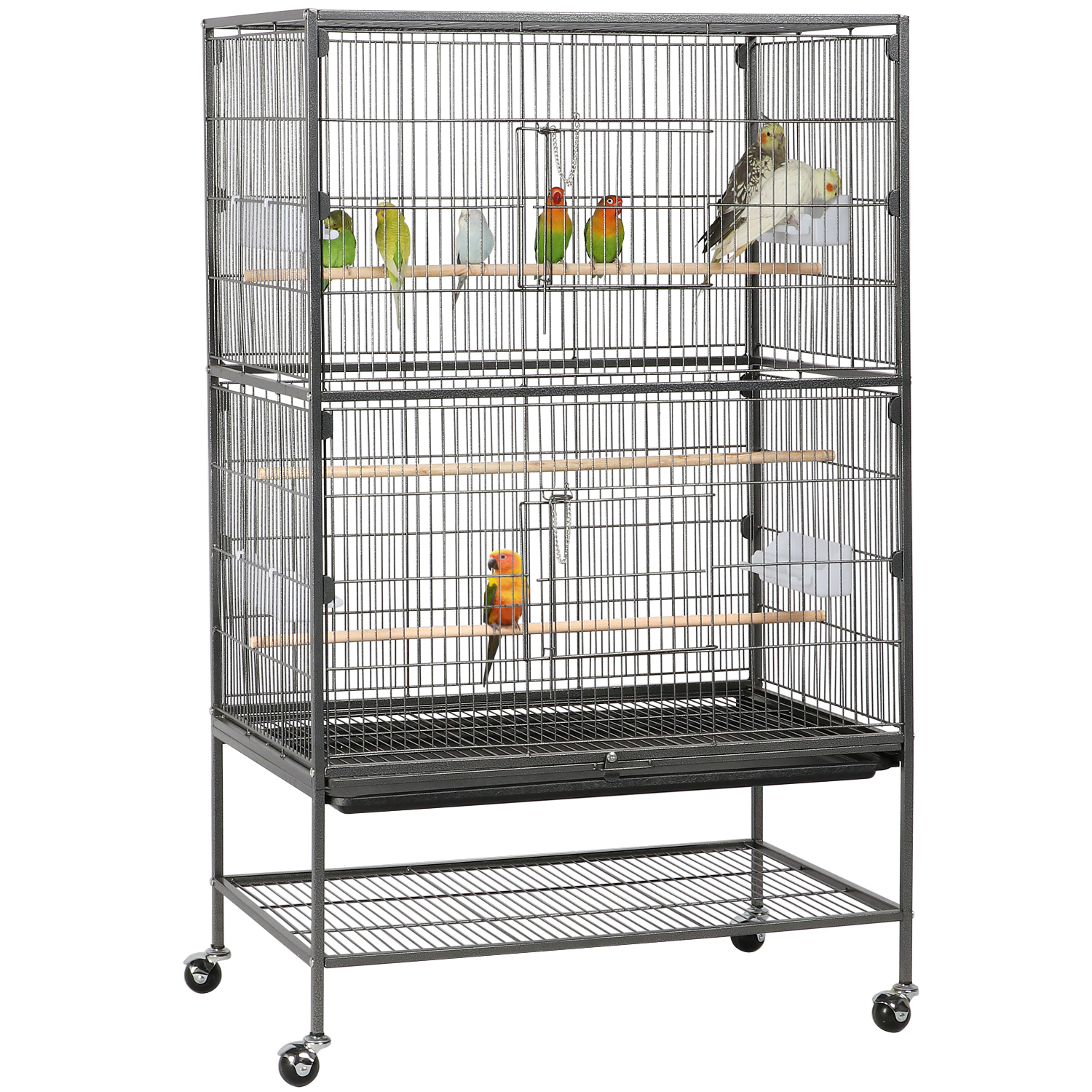Detail Pictures Of Birds In Cages Nomer 52