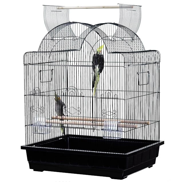 Detail Pictures Of Birds In Cages Nomer 56