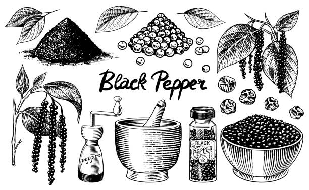 Detail Pictures Of Black Pepper Nomer 55