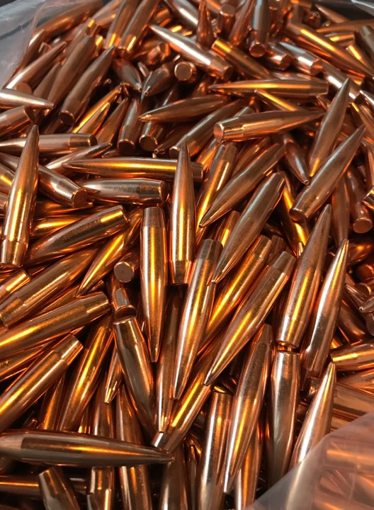 Detail Pictures Of Bullets Nomer 15