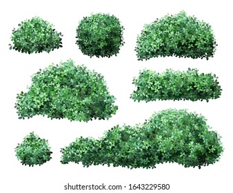 Detail Pictures Of Bushes And Shrubs Nomer 41