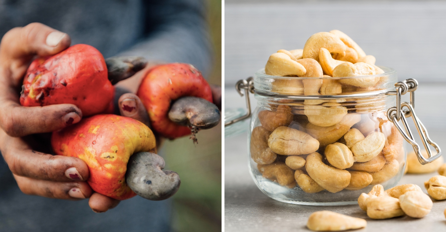 Detail Pictures Of Cashew Nuts Nomer 22