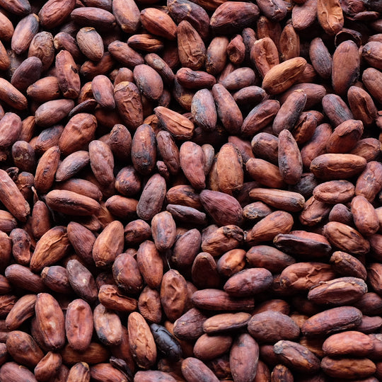 Detail Pictures Of Cocoa Beans Nomer 20