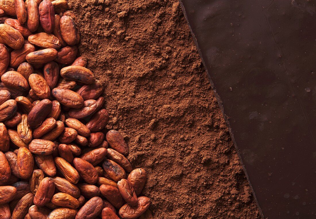 Detail Pictures Of Cocoa Beans Nomer 23